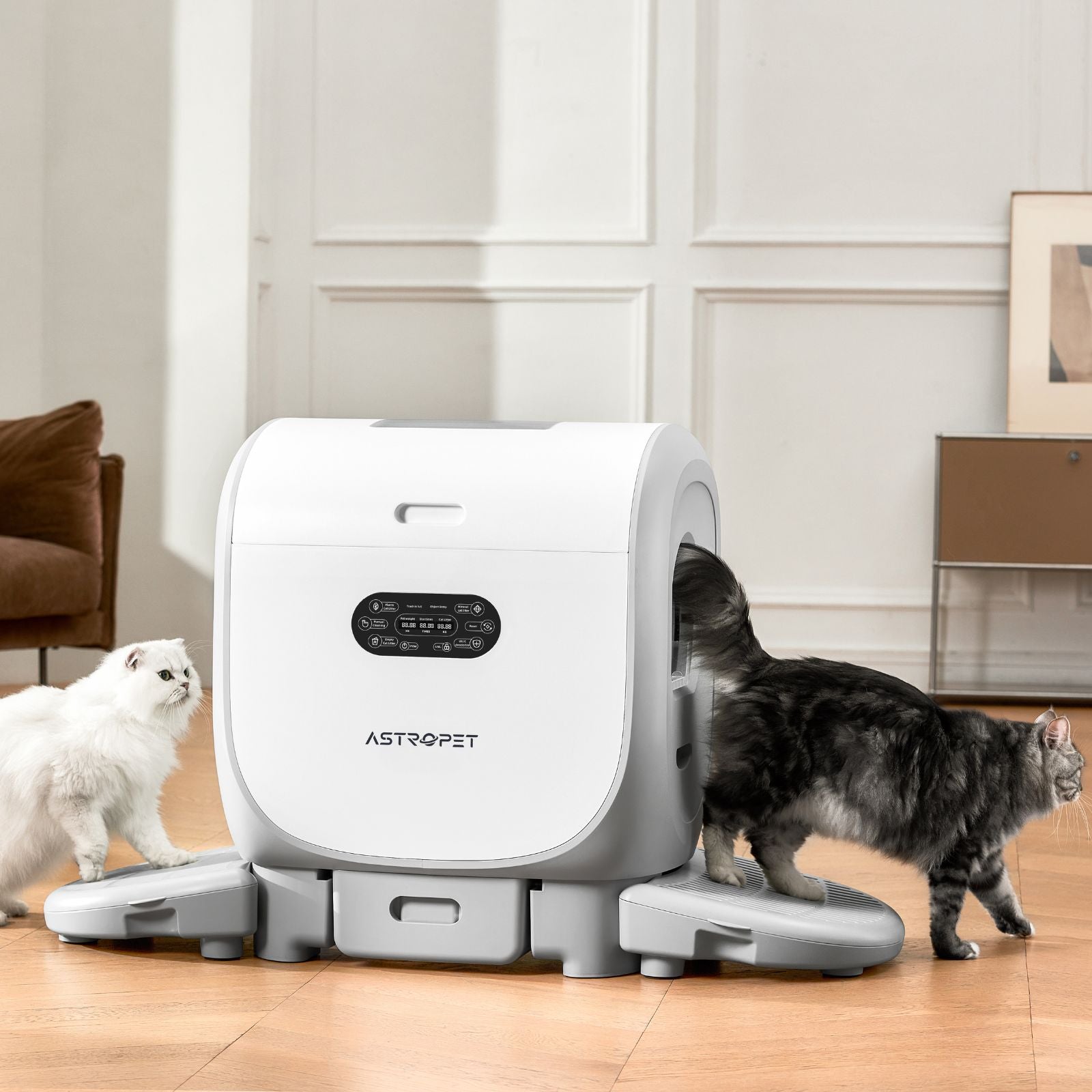 Jupiter Pro - Self-cleaning Cat toilet + smart app