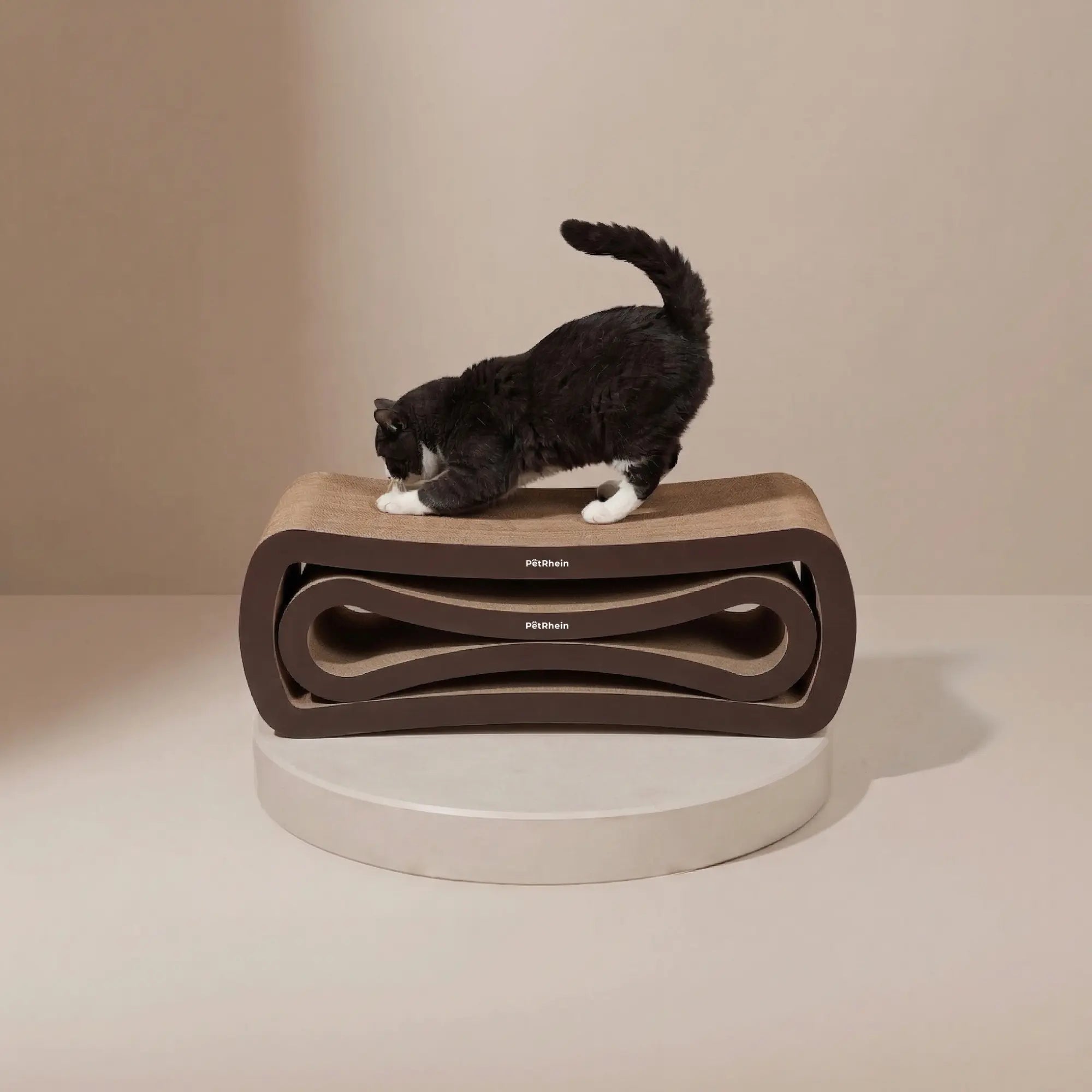 Ascent Paw in Braun - scratching board