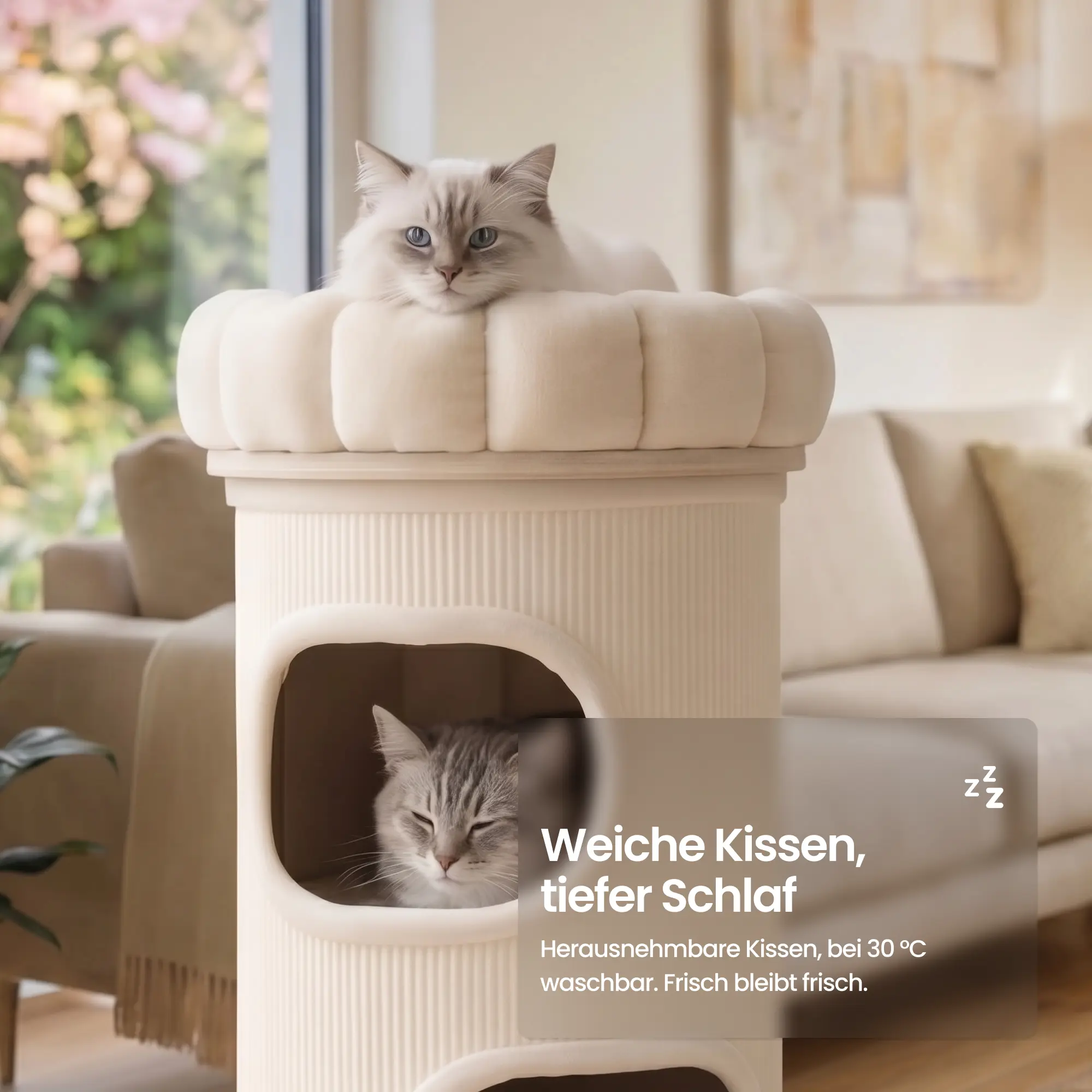 Cloud Paw - Scratching Board (Copy)