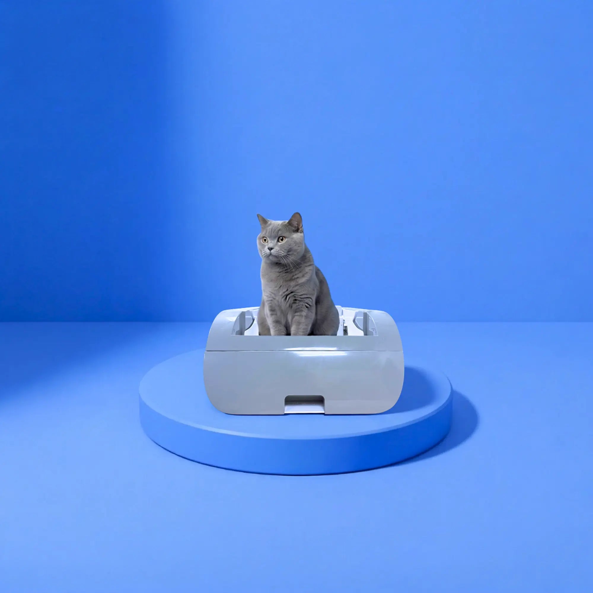 Helios - Self-cleaning Cat toilet + smart app