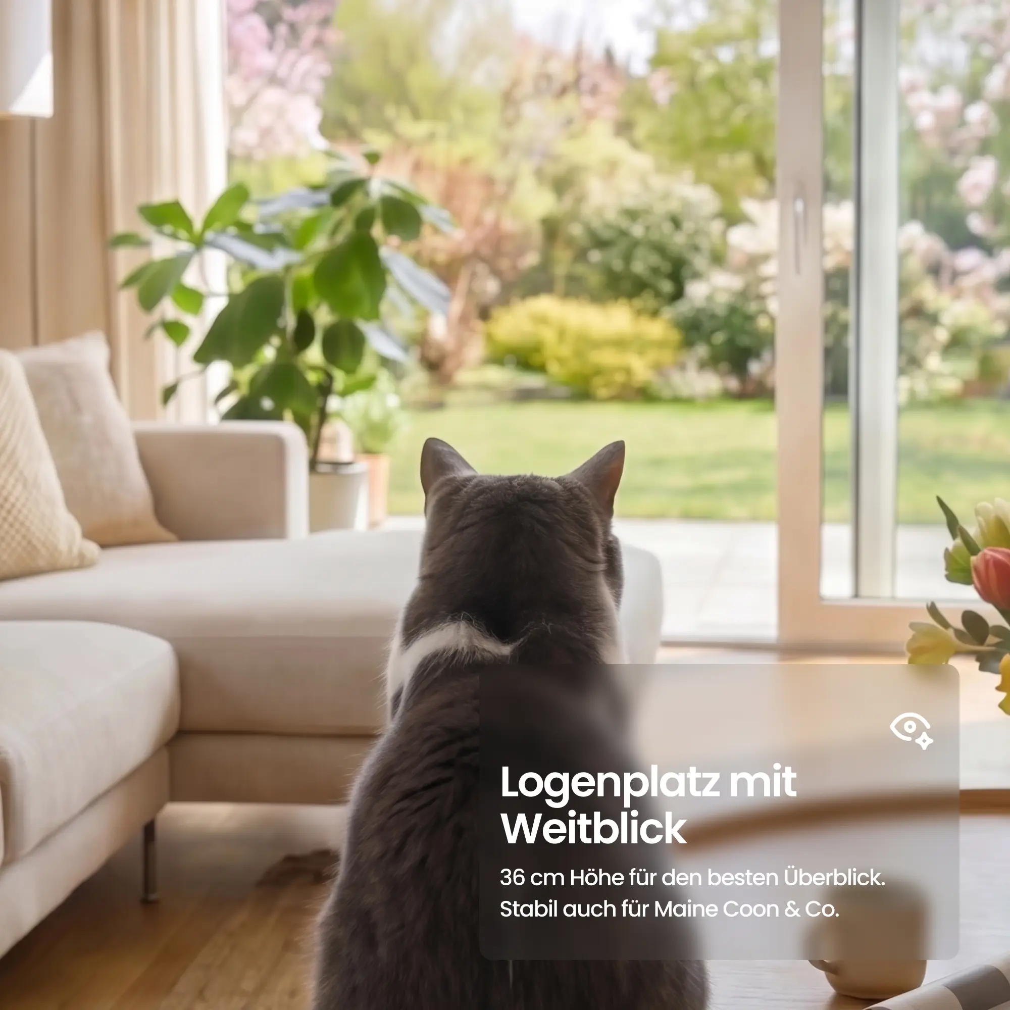 Safari Lodge Kociej jaskini z drapanką