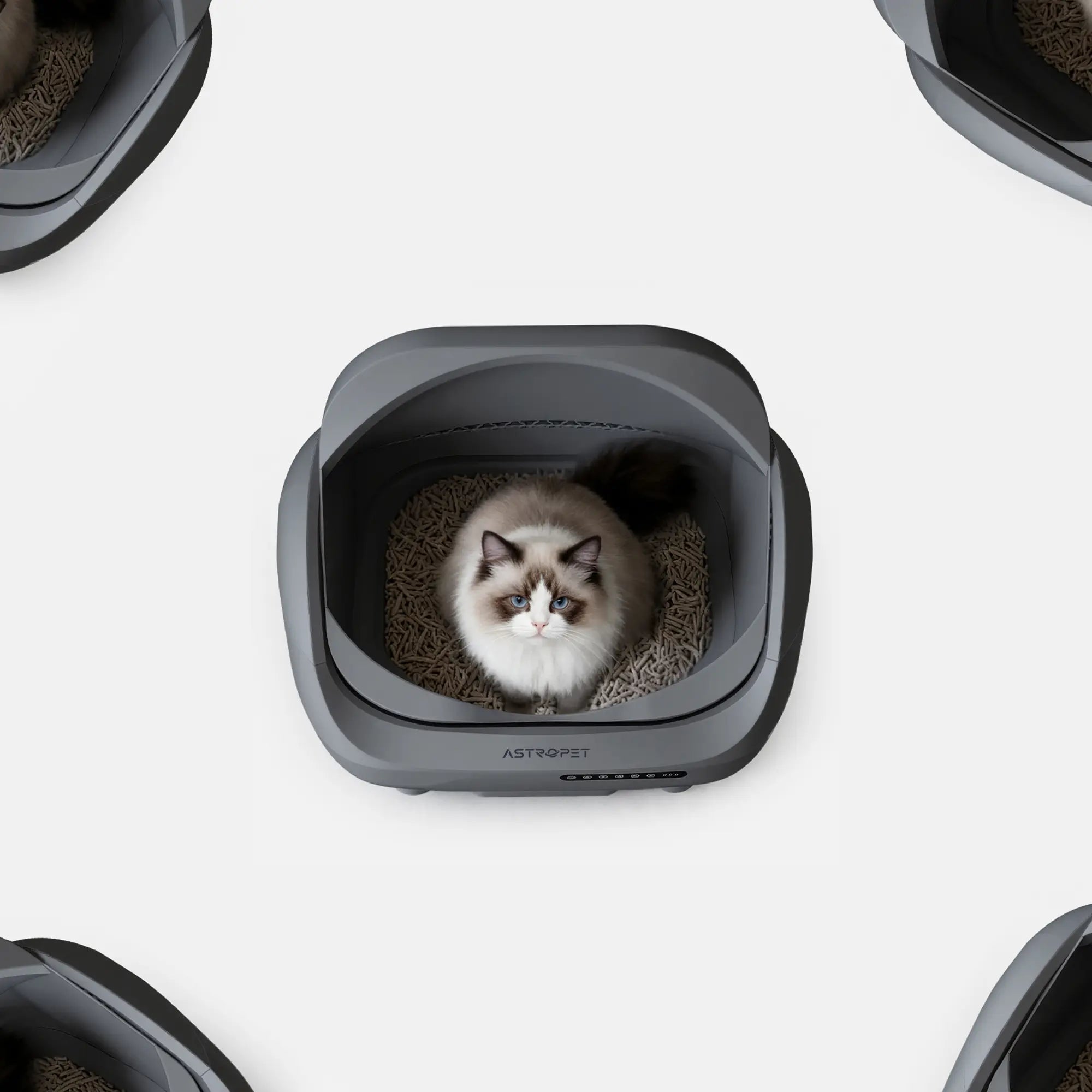 Venus - Self-cleaning cat toilet