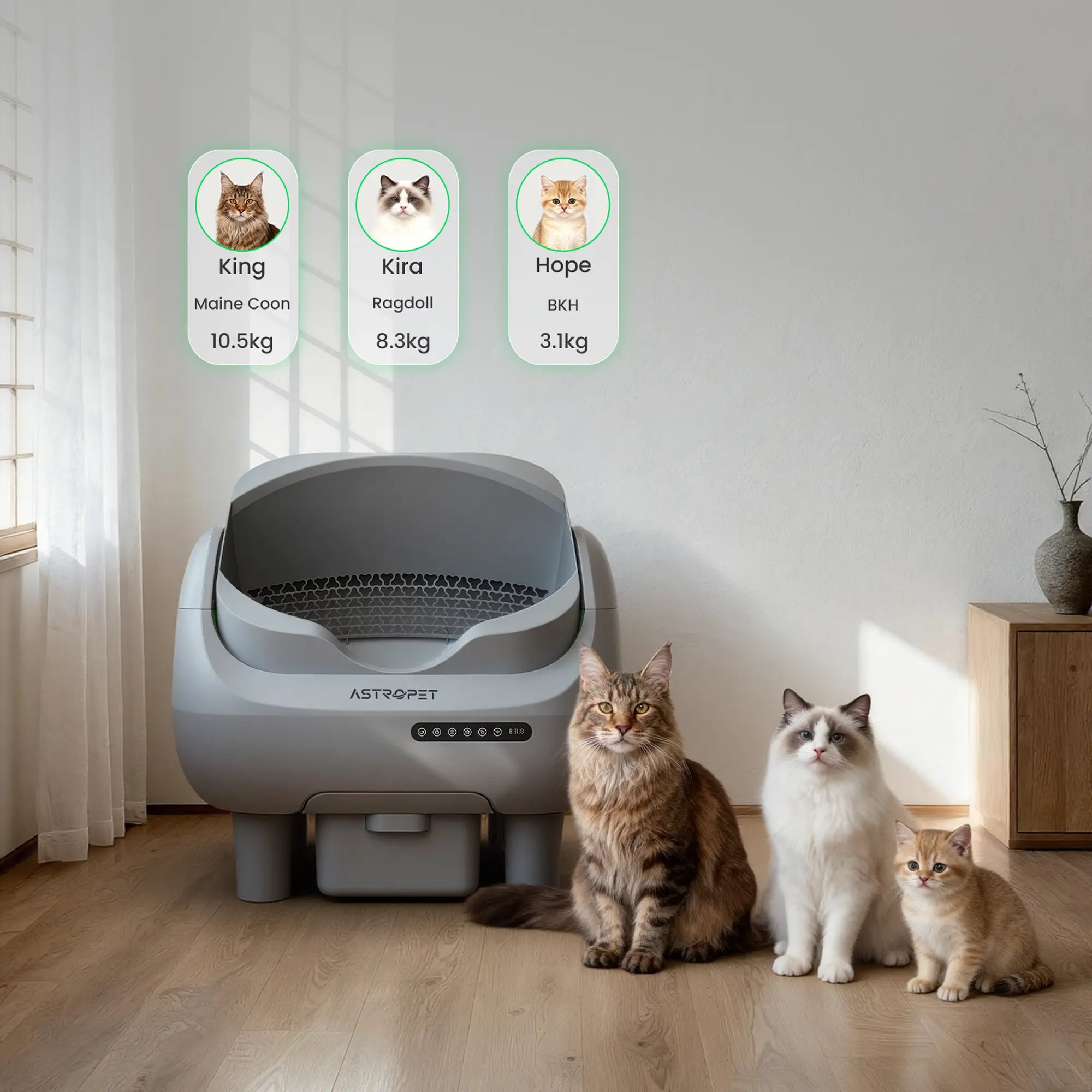 Venus - Self-cleaning cat toilet