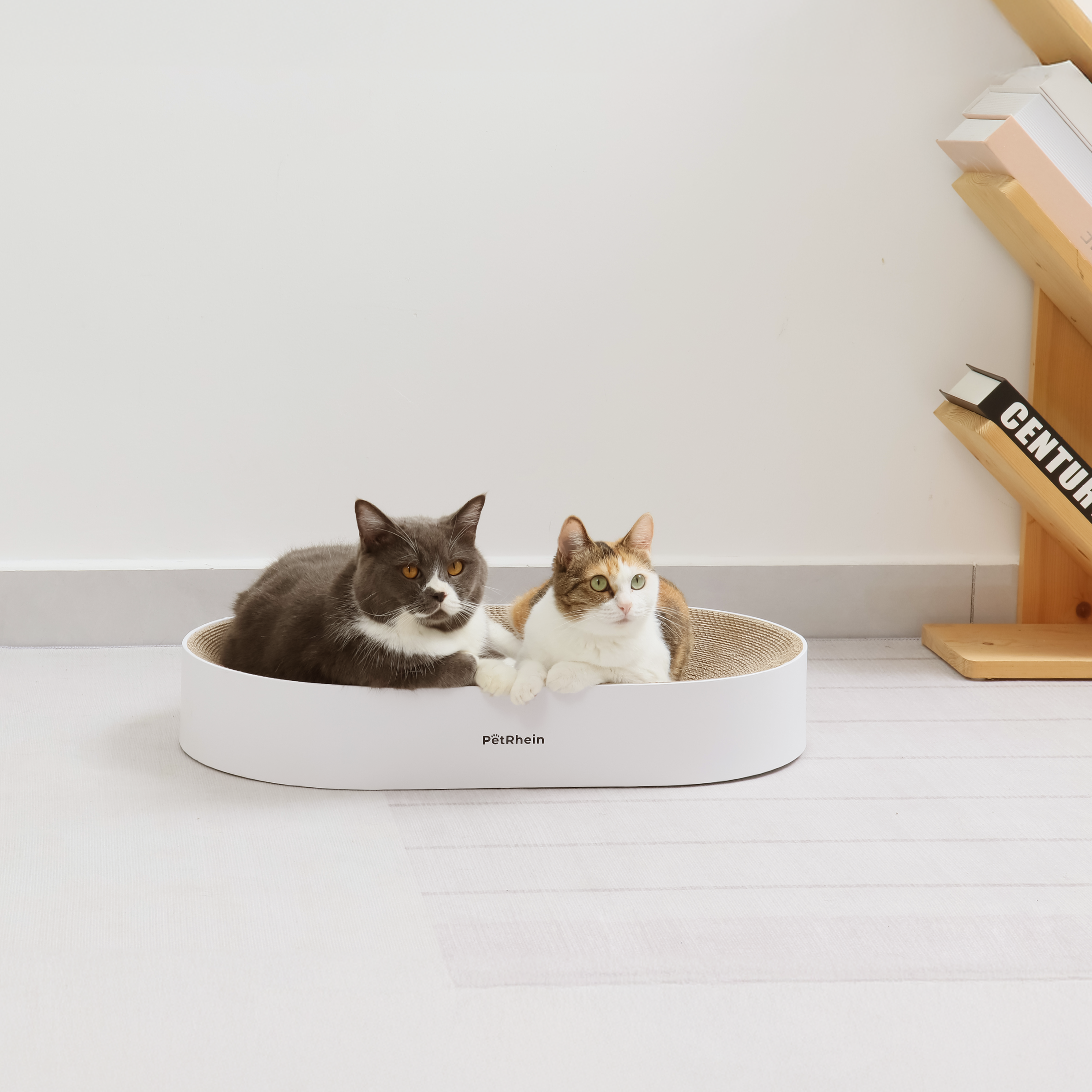Zen Paw Series 