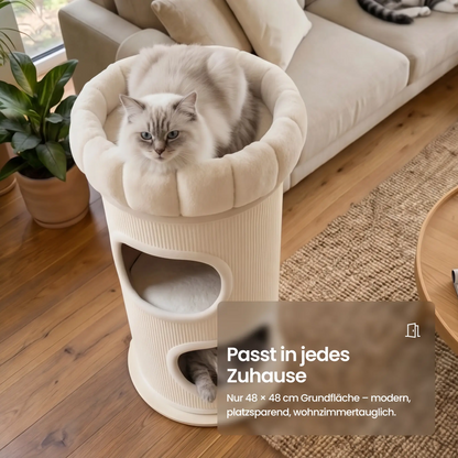 Cloud Paw - Scratching Board (Copy) 