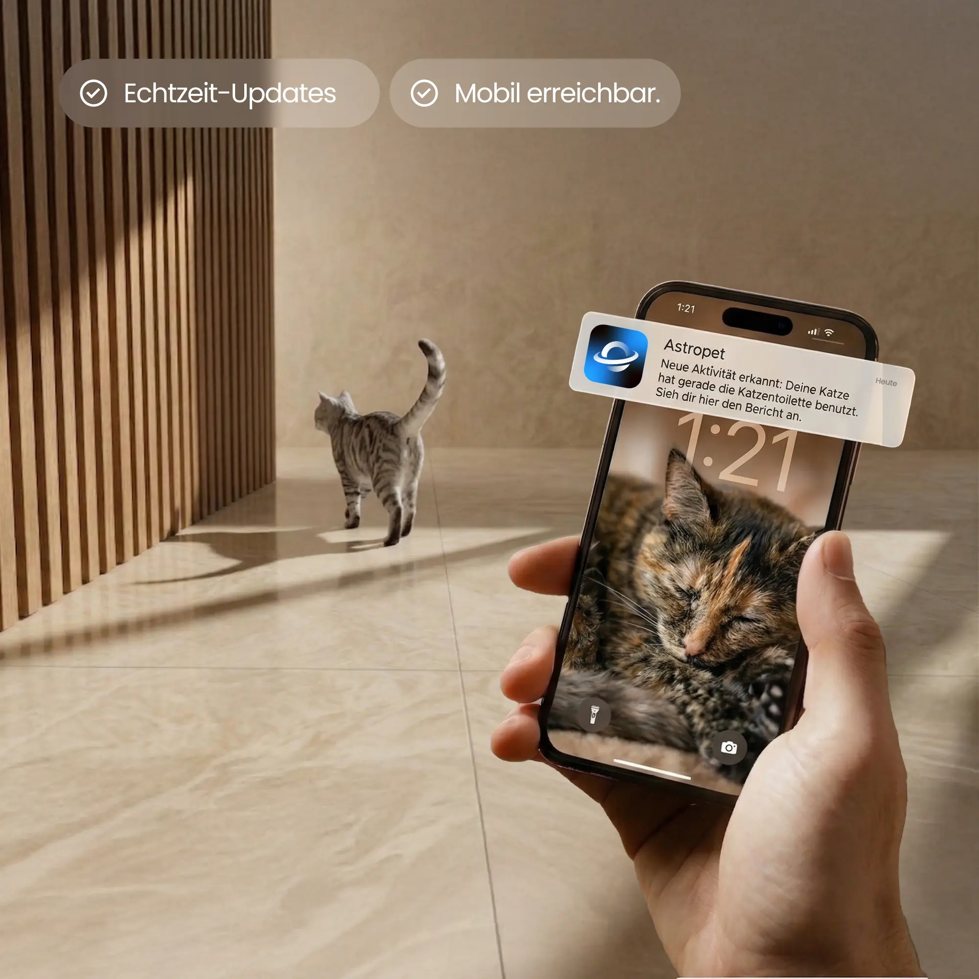 Neptune - Toilette auto-nettoyante pour chat