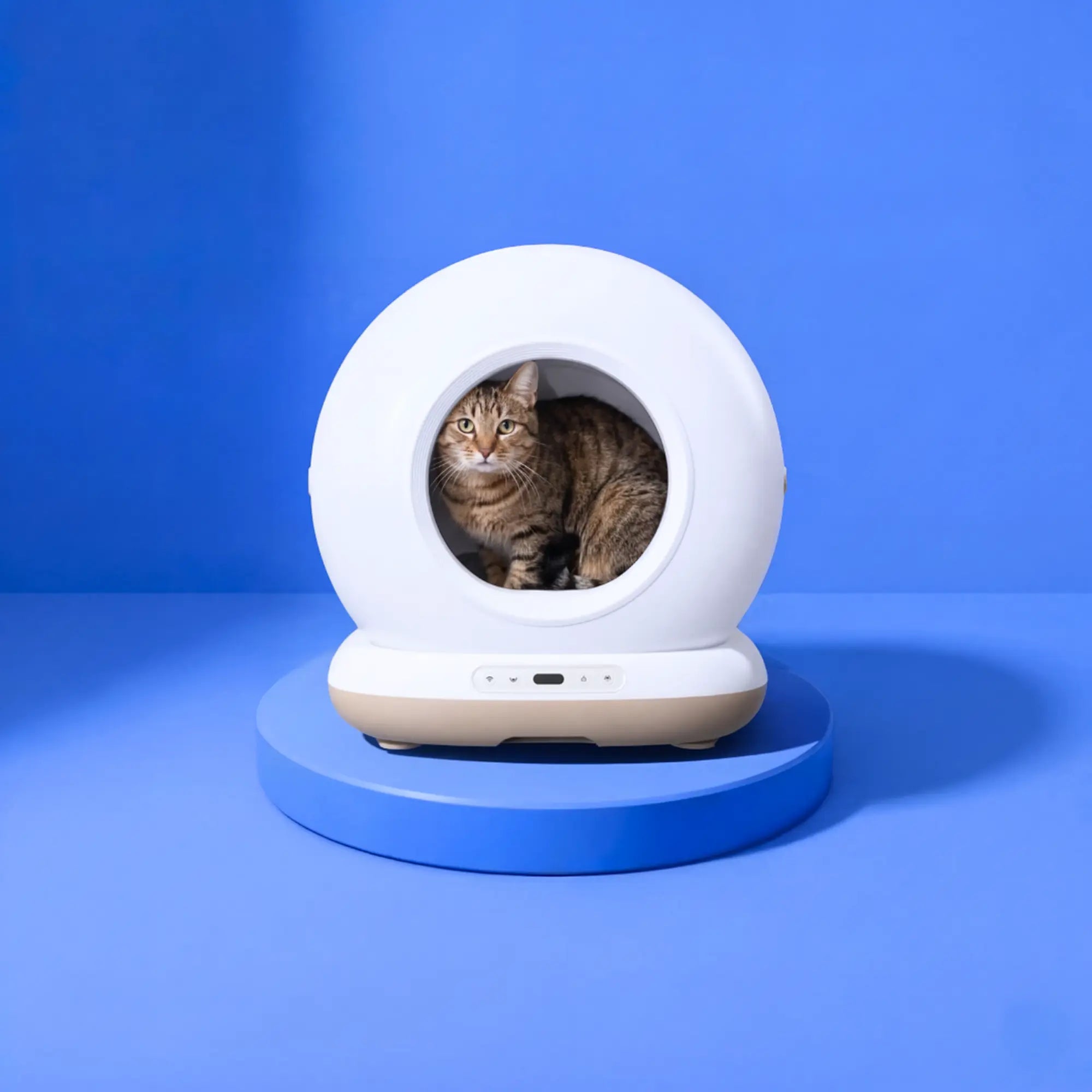 Neptune - Self-cleaning Cat toilet + smart app