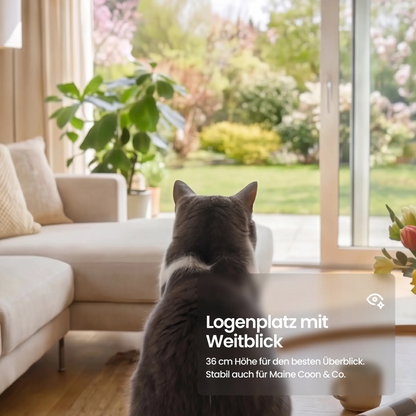 Safari Lodge Kociej jaskini z drapanką
