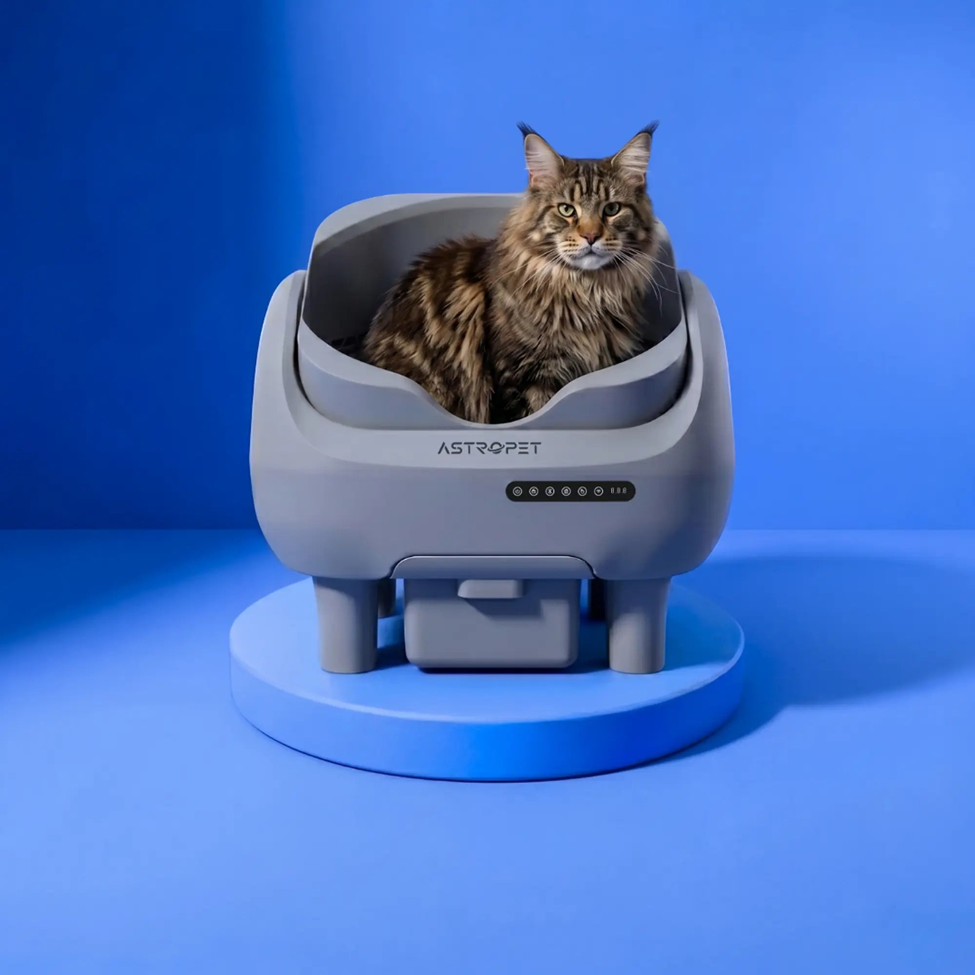 Venus - Self-cleaning cat toilet 